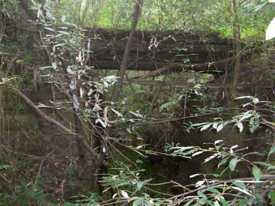Heritage Impact Statement: Replacement of the Deck of the Bridge over Rudder Creek in Lane Cove National Park for NPWS.