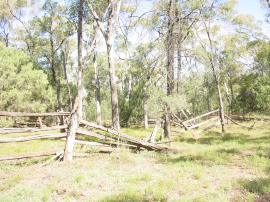 Site History and Recording of the Sawmill Site at Ironbarks Crossing Pilliga East State Conservation Area.
