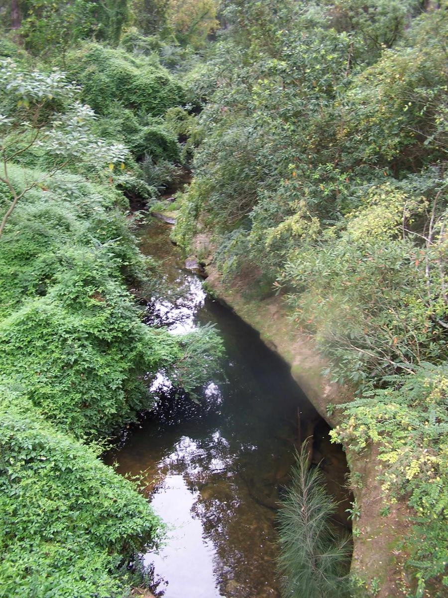 Archaeological Survey and Assessment: Glenhaven Road Bridge over Cattai Creek